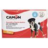 Camon 12 Pannolini a Fascia Elastica Medium Mis.2 Per Cani Maschi