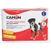 Camon 12 Pannolini a Fascia Elastica Large Mis.3 Per Cani Maschi