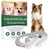 Paistely Collare Antiparassitario Per Cani, Collare Antipulci Cane Sicuro Ed Efficace Composto Da Oli Essenziali Naturali Al 100%, Efficacia 12 Mesi 65cm Collar Antizecche Per Cani Di Tutte Le Taglie (65cm*2)