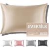 EVERSILK Federa per cuscino in seta per capelli e pelle: 100% Seta di gelso Naturale da 22 Momme - con cerniera nascosta doppia faccia - ipoallergenica certificata OEKO-TEX 1 Pezzo Grigio Champagne 40 x 60 cm