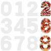Abeillo Stampi per torte di grandi dimensioni, numeri da 0 a 8, stencil per torte fai da te (30,5 cm)