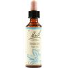 BEECH Schwabe Fiori Di Bach 03 Beech Gocce 20 Ml