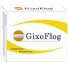 GISSOMA SRL Gissoma Gixoflog 16 Bustine