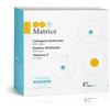 PHARMEXTRACTA SPA Ddm Matrice Integratore Antinfiammatorio E Cicatrizzante 14 Bustine