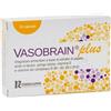 ERREKAPPA EUROTERAPICI SPA Errekappa Euroterapici Vasobrain Plus Integratore Antinvecchiamento Cerebrale 24 Capsule