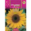 Magnani girasole gigante