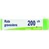 BOIRON Ruta graveolens*200ch gl 1g - 046363673 - igiene-e-salute/rimedi-omeopatici/globuli-e-granuli