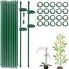 ShengBiLong Supporti per Orchidee, 20 Pezzi Tutori per Piante, Viene Fornito con 20 Moschettoni con 40 cappucci protettivi, Sostegno per Piante, Bastoni Piante Supporto, Tutori per Piante(80PCS)