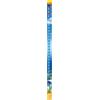 Sera - luce a LED, blu marino, sunrise, stile barriera corallina, 360 blu