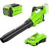Greenworks 40V Soffiatore a Batteria, Velocità dell'aria 193 km/h, Volume d'aria 14,2 m³/min, Ugello Regolabile, Velocità Infinitamente Variabile (Con 2Ah Batteria e Caricabatterie)