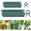 DIELIANHUA 48 Pezzi Clip per Piante, Clip di Supporto per Piante, Clip per Piante da Giardino, Clip per Piante Rampicanti, Morsetti per Piante Rampicanti per Viti, Vegetale, Pomodori, Rose (2 Dimensioni)