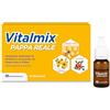 VITALMIX MONTEFARMACO Pappa Reale, Integratore Alimentare Tonico Energizzante e Rivitalizzante - Stanchezza Fisica e Sistema Immunitario - 10 Flaconcini, Senza Lattosio e Senza Glutine (Gusto Miele)