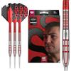 Target Darts Nathan Aspinall Gen 2 22G 95% Wolfram Swiss Point Jeu de fléchettes à pointe d'acier