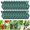 DIELIANHUA 50 Pezzi Clip per Piante, Clip di Supporto per Piante, Clip per Piante da Giardino, Clip per Piante Rampicanti, Morsetti per Piante Rampicanti per Viti, Vegetale, Pomodori, Rose (45 X 30 MM)