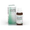 BIOLOGISCHE HEILM. HEEL GMBH Colocynthis Homaccord*gtt 30ml