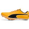 PUMA Scarpe da running evoSPEED Sprint 14.5, Scarpe, Arancione, 44