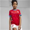PUMA Maglia da calcio in jersey gara Home Repubblica Ceca 2024 da ragazzi