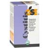 PRODECO PHARMA SRL Gse Cystitis Integratore 60 Compresse