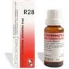 Dr. Reckeweg R28 Gocce Orali Omeopatiche 22 Ml