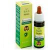 Guna Fiori Di Bach Resource Confidence Autostima E Fiducia Gocce 20 Ml