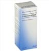 Guna Heel Valerianaheel Gocce 30 Ml