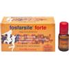 Fosfarsile Forte Ginseng 10 Flaconcini