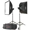 Godox MS200-F 2-Monolight Kit