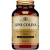 SOLGAR IT. MULTINUTRIENT SPA LIPO COLINA 100CPS VEGETALI