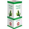 Ficus carica mg 100 ml gocce