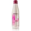 SALERM Hi Repair Shampoo 250 Ml