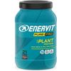 ENERVIT PURE PRO PROTEIN PLANT CACAO 630 G