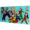 SD toys Z Heroes Poster di Vetro Dragon Ball 60 x 30 cm, Multicolore (SDTDRB22026