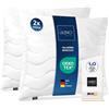 LILENO HOME Cuscino 80 x 80 cm [set da 2 pezzi] duro con imbottitura da 1.200 g - cuscino decorativo con chiusura lampo per regolare - Lavabile fino a 95° - Cuscino per divano e letto