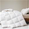 DWR Piumino Matrimoniale 200x200 cm,Piuma d'oca e Piumino,Estivo piumone letto una piazza e mezza,Trapunta Leggera e Calda in 180gr/㎡,Piumino in 100% Cotone, Certificato Oeko-Tex e RDS,Bianco