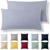 Alreya Set di 2 Federe in 100% jersey di cotone con chiusura lampo - 40 x 70 cm - Azzurro - Federa Cuscino, Copricuscino Divano, Federa super morbida 40x70