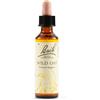 SCHWABE PHARMA ITALIA Srl Wild oat bach orig 20 ml - SCHWABE PHARMA ITALIA - 942860154