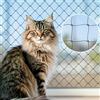 AnExer Rete per Gatti da Terrazza, 8x3M Filo Composito Rinforzato per Rete per Gatti da Balcone, Rete di Protezione per Gatti per Balconi, Lucernari e Finestre Nero