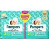 Pampers Baby Dry - Mini Pannolino Taglia 2 3-6 Kg, 48 pannolini