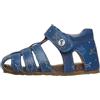 Falcotto ALBY CALF PR.SHARKS AZURE-MULTI
