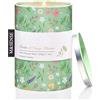 M&SENSE Candele Profumate Soia Bambù e Fiori d'Arancio 320g, Candela Purificante e Rilassante, Fragranza Lunga Durata 60 Ore, Cera Vegana, Regalo Sostenibile per Casa, Meditazione, SPA, Ambiente Zen