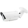 LevelOne FCS-5060 telecamera di sorveglianza Pallottola (forma) Telecamera sicurezza IP Interno e esterno 1920 x 1080 Pixel Soffitto/muro [FCS-5060]