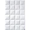 Billerbeck Goldedition 5542250004 Piumone singolo 135x200 cm