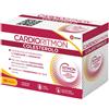 Dompe' Farmaceutici SpA Cardioritmon Colesterolo 60 Capsule 35,4 g