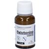 Paladin Pharma SpA Sanavita Melatonina Gocce 15 ml orali