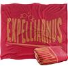 LOGOVISION Harry Potter The Hogwarts School Coperta super morbida al tatto setoso - 152 x 127 cm