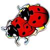 4R Quattroerre.it Quattroerre 14128 Sticker Adesivo 3D Coccinelle