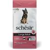 Schesir - Large Mantenimento al Prosciutto 12 Kg