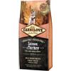 CARNILOVE Pies Puppies Large Breed Salmone/Indica 12 kg