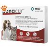 MSD Dog & Cat Panacur - Confezione Da 10 Compresse
