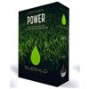 Emerald POWER scatola 1 kg - 100% Festuca arundiancea